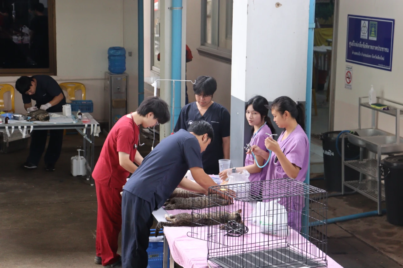 catalogs_file_1544_49_59_269966.webp
