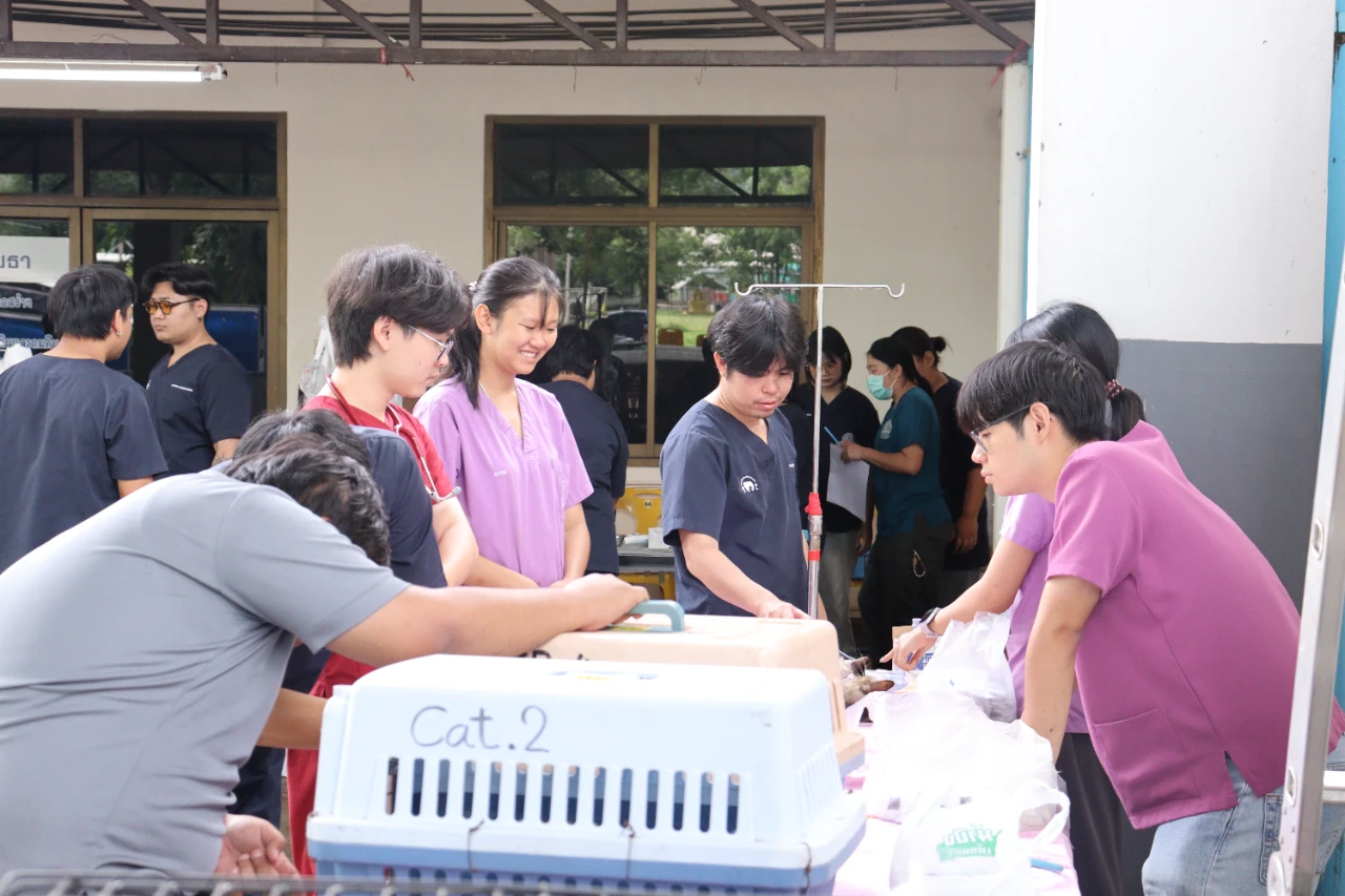 catalogs_file_1544_49_59_276931.webp